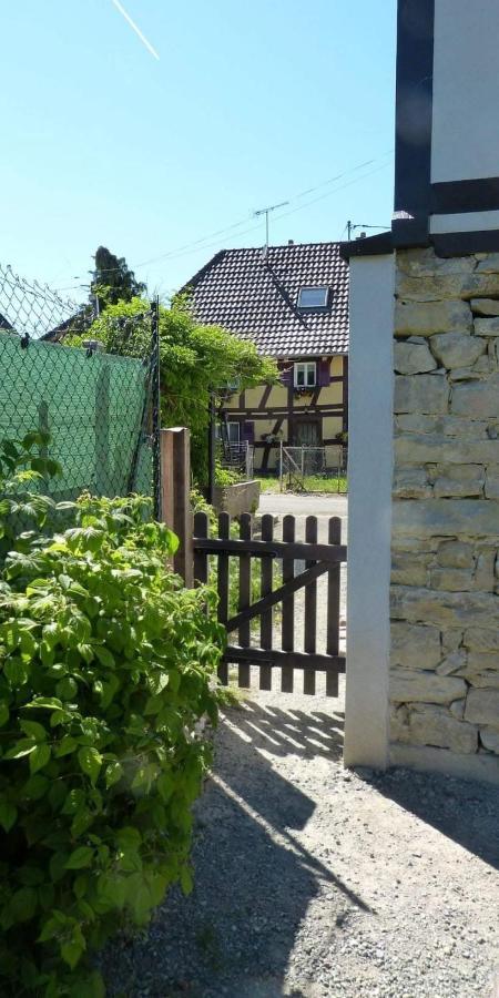 Gite Les Sabots De Paille, Alsace Haut-Rhin Ballesdorf Екстериор снимка